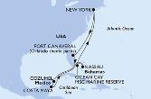 New York,Port Canaveral,Cozumel,Costa Maya,Nassau,Ocean Cay,New York