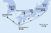 Yokohama,Kobe,Hiroshima,Gangjeong,Kagoshima,Yokohama
