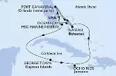 Port Canaveral,Ocean Cay,George Town,Ocho Rios,Nassau,Port Canaveral,Nassau,Ocean Cay,Ocean Cay,Port Canaveral