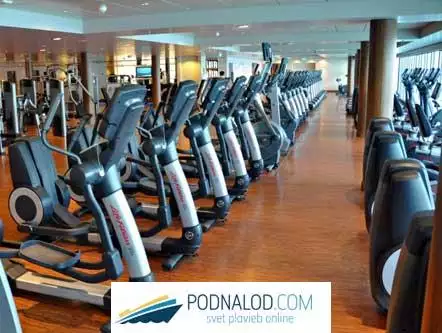 NORWEGIAN EPIC - gym